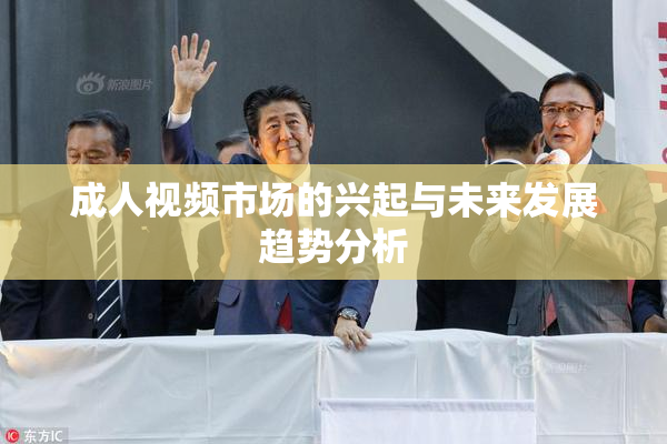 成人视频市场的兴起与未来发展趋势分析