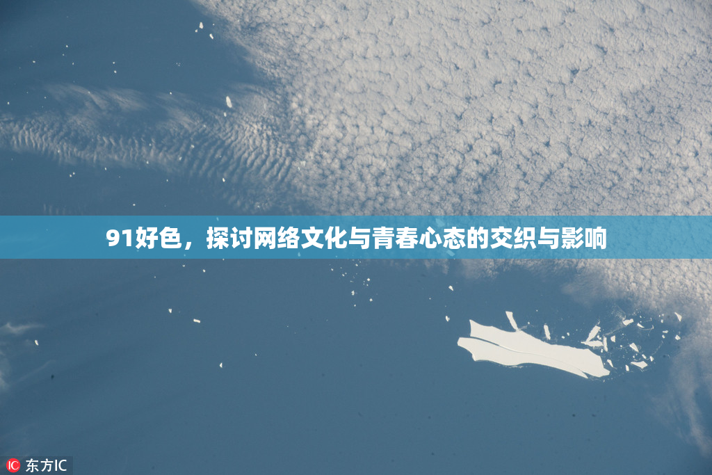 91好色，探讨网络文化与青春心态的交织与影响