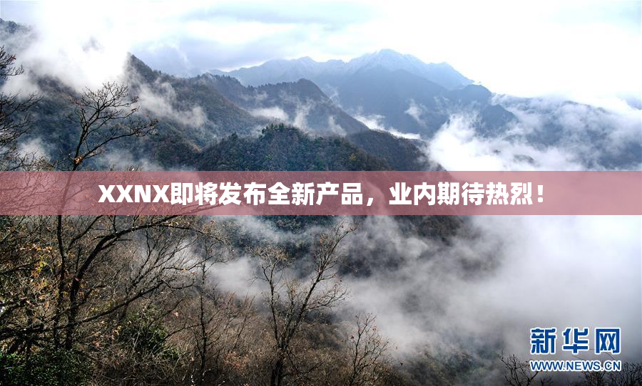 XXNX即将发布全新产品，业内期待热烈！