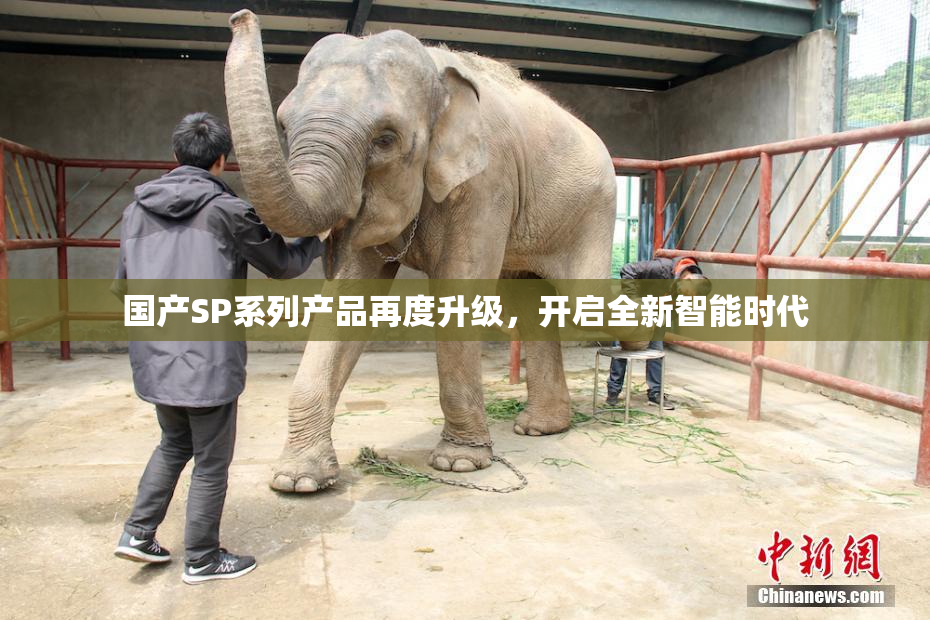 国产SP系列产品再度升级，开启全新智能时代