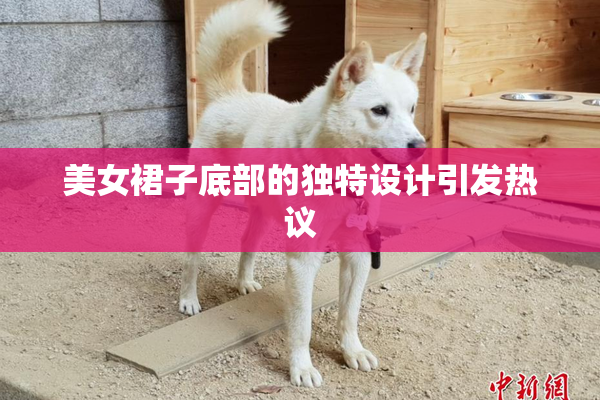 美女裙子底部的独特设计引发热议