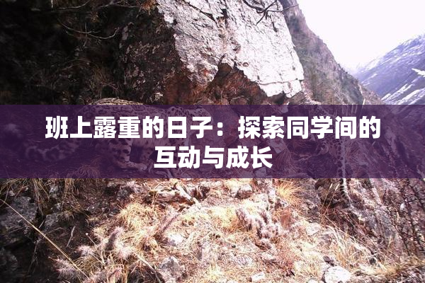 班上露重的日子：探索同学间的互动与成长