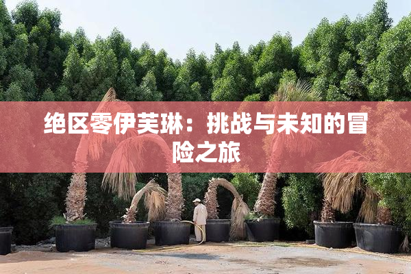 绝区零伊芙琳：挑战与未知的冒险之旅