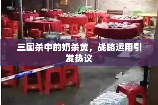 三国杀中的奶杀黄，战略运用引发热议