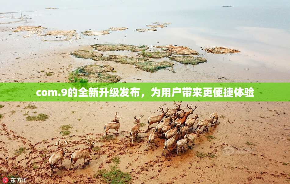 com.9的全新升级发布，为用户带来更便捷体验