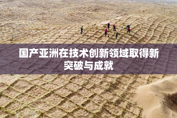 国产亚洲在技术创新领域取得新突破与成就