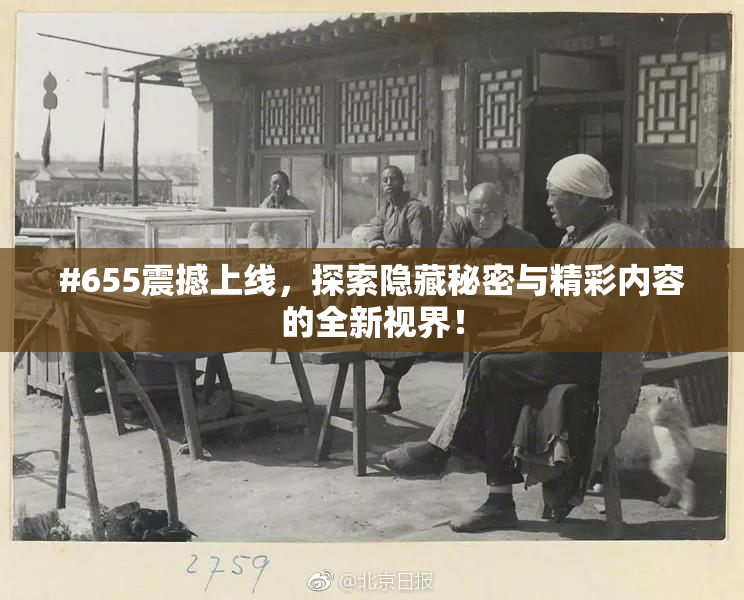 #655震撼上线，探索隐藏秘密与精彩内容的全新视界！