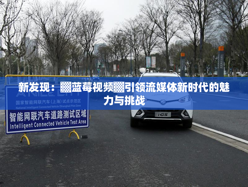 新发现：▓蓝莓视频▓引领流媒体新时代的魅力与挑战