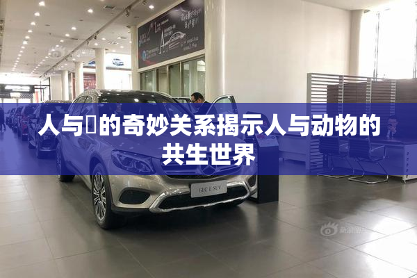 人与嘼的奇妙关系揭示人与动物的共生世界