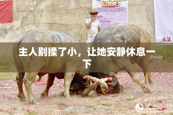 主人别揉了小，让她安静休息一下
