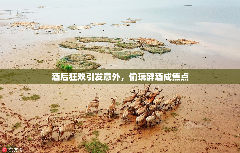 酒后狂欢引发意外，偷玩醉酒成焦点