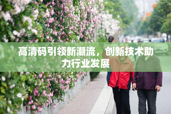 高清码引领新潮流，创新技术助力行业发展