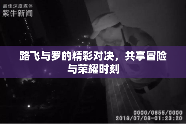 路飞与罗的精彩对决，共享冒险与荣耀时刻