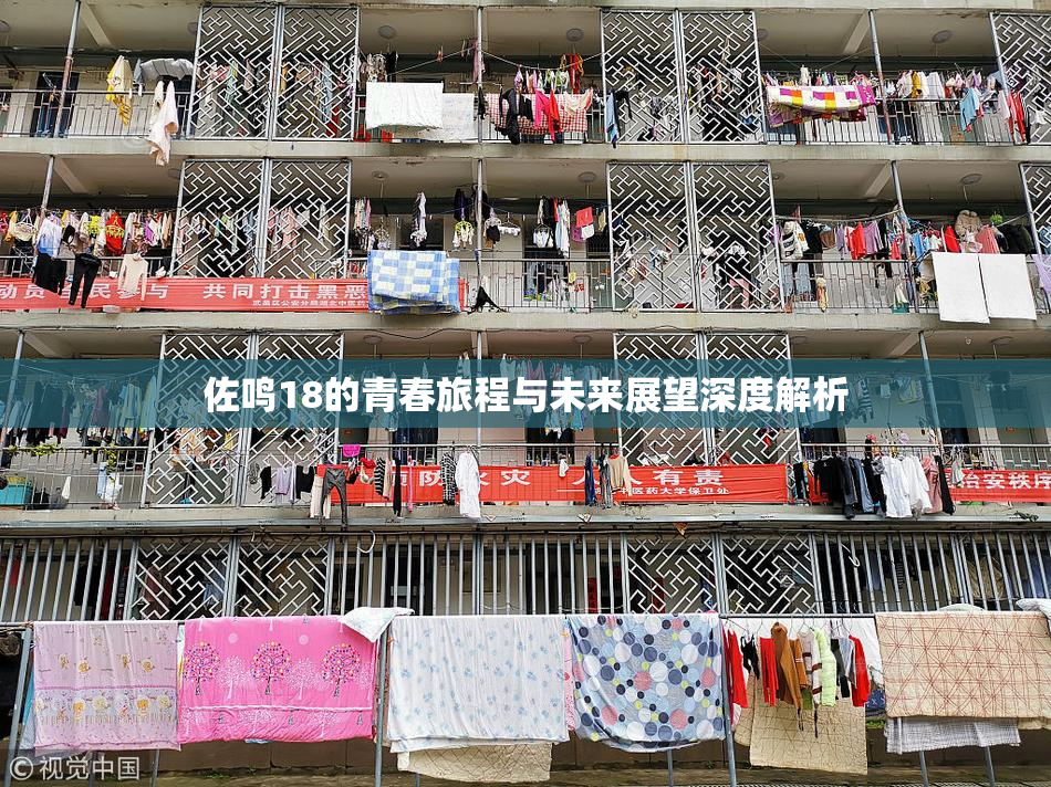 佐鸣18的青春旅程与未来展望深度解析