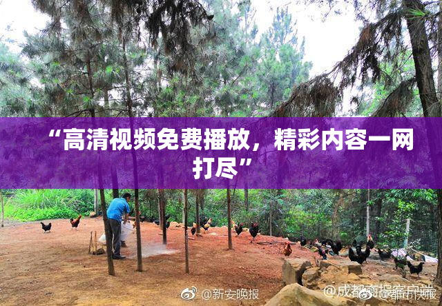 “高清视频免费播放，精彩内容一网打尽”