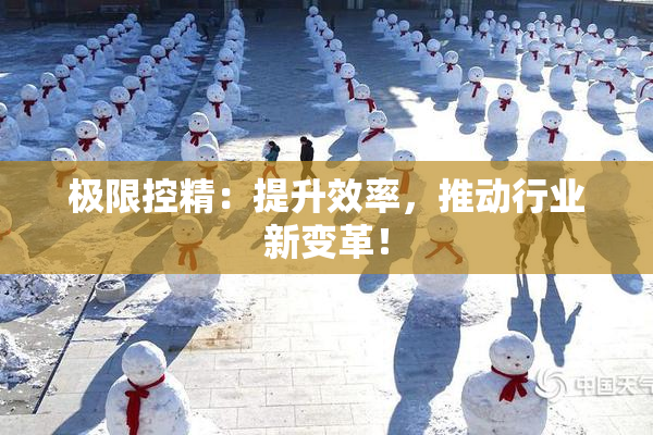 极限控精：提升效率，推动行业新变革！