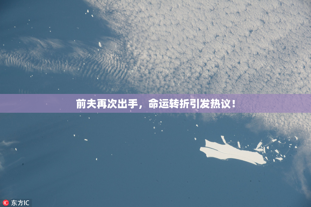 前夫再次出手，命运转折引发热议！