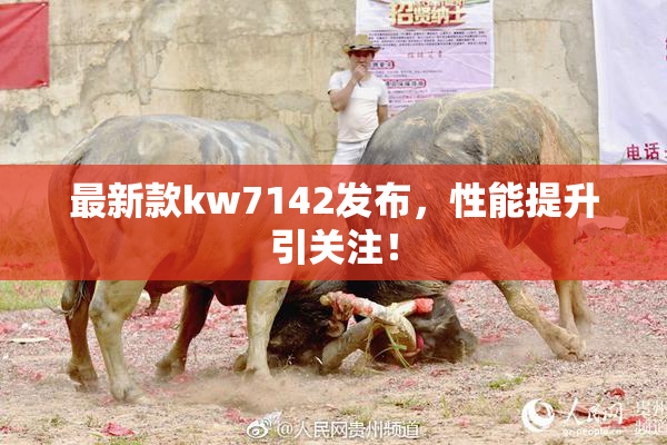 最新款kw7142发布，性能提升引关注！