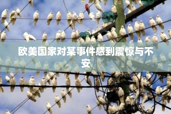 欧美国家对某事件感到震惊与不安