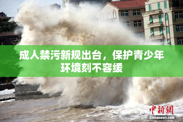 成人禁污新规出台，保护青少年环境刻不容缓
