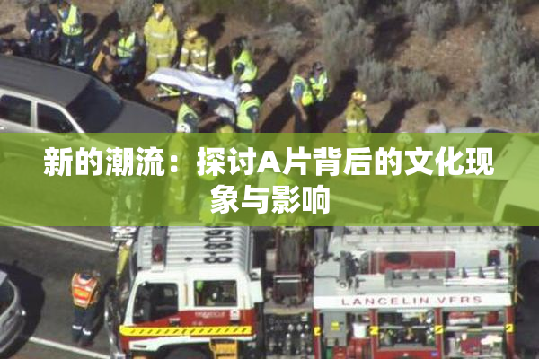 新的潮流：探讨A片背后的文化现象与影响