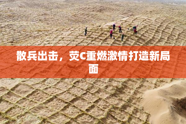 散兵出击，荧C重燃激情打造新局面