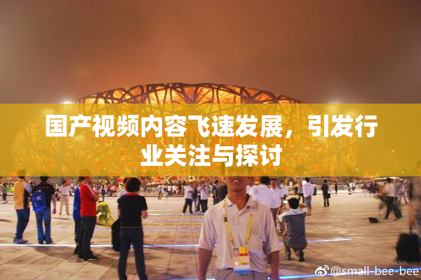 国产视频内容飞速发展，引发行业关注与探讨