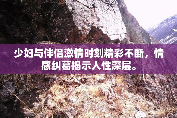 少妇与伴侣激情时刻精彩不断，情感纠葛揭示人性深层。