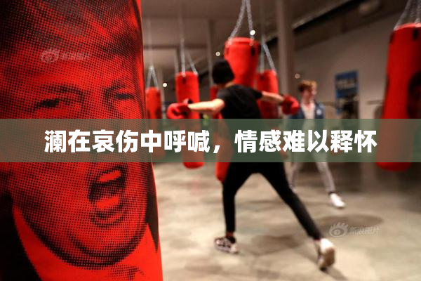 澜在哀伤中呼喊，情感难以释怀