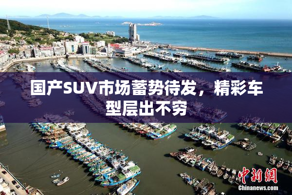 国产SUV市场蓄势待发，精彩车型层出不穷