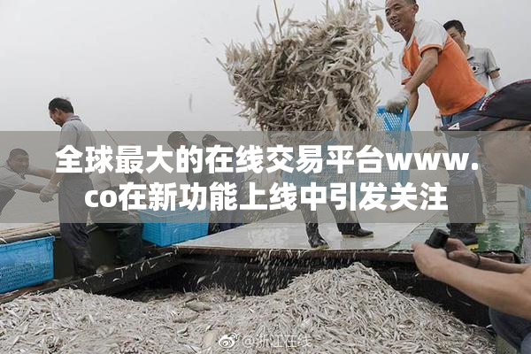全球最大的在线交易平台www.co在新功能上线中引发关注