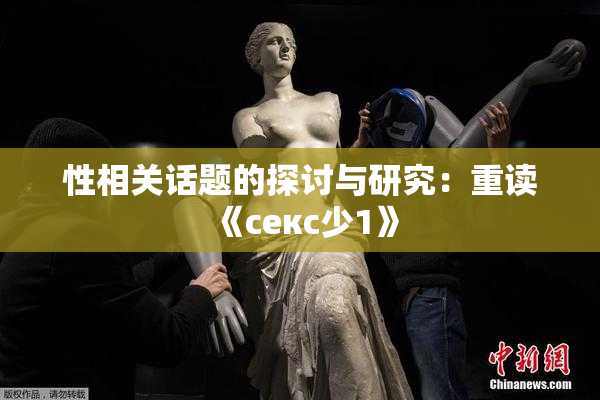 性相关话题的探讨与研究：重读《секс少1》