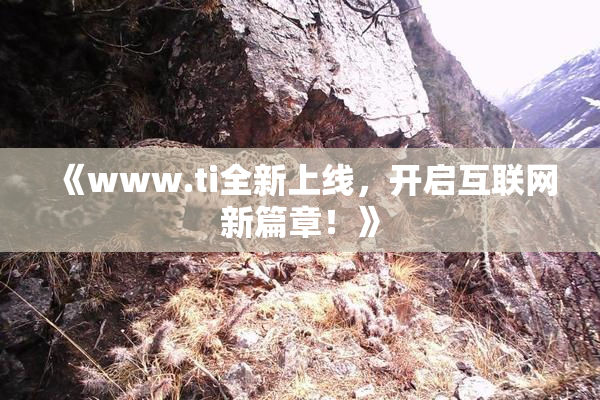 《www.ti全新上线，开启互联网新篇章！》
