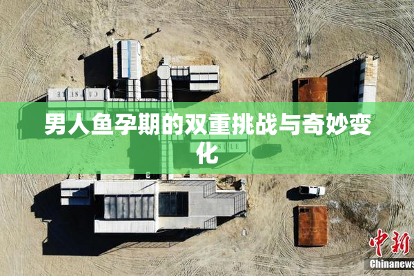 男人鱼孕期的双重挑战与奇妙变化