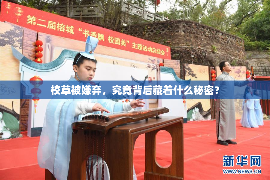 校草被嫌弃，究竟背后藏着什么秘密？