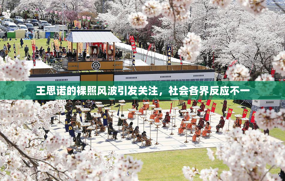 王思诺的裸照风波引发关注，社会各界反应不一