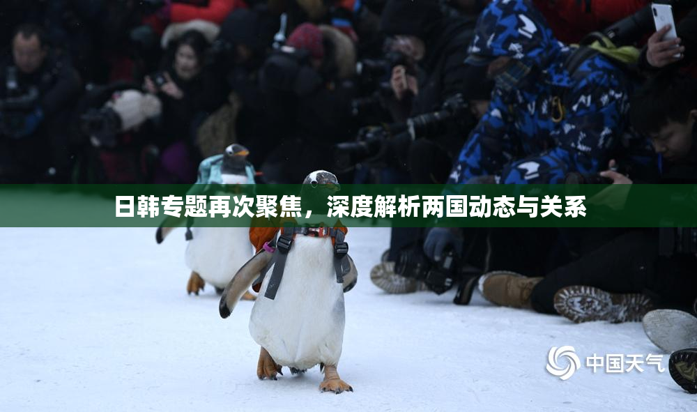 日韩专题再次聚焦，深度解析两国动态与关系