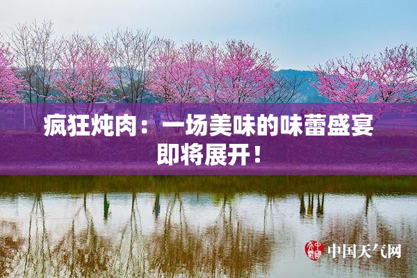 疯狂炖肉：一场美味的味蕾盛宴即将展开！