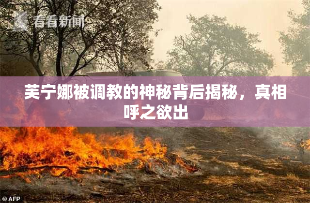 芙宁娜被调教的神秘背后揭秘，真相呼之欲出