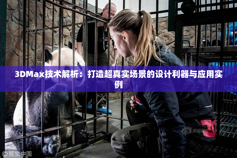 3DMax技术解析：打造超真实场景的设计利器与应用实例