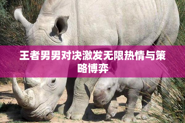 王者男男对决激发无限热情与策略博弈