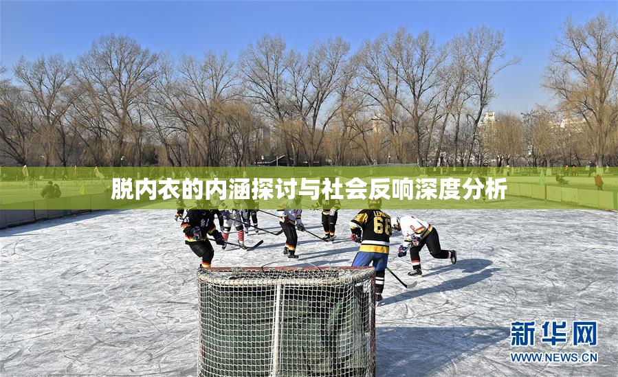 脱内衣的内涵探讨与社会反响深度分析