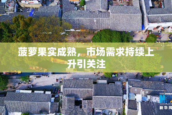 菠萝果实成熟，市场需求持续上升引关注