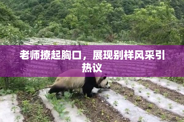 老师撩起胸口，展现别样风采引热议