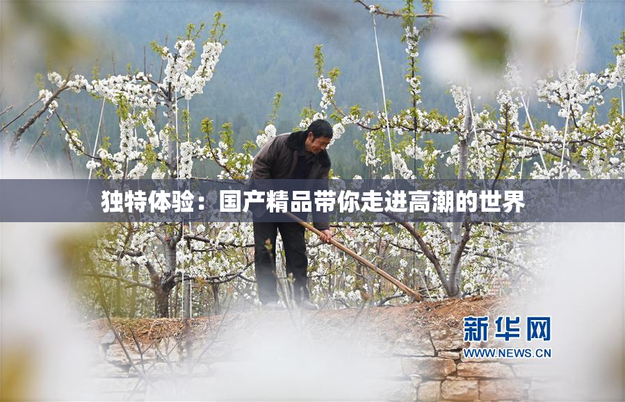 独特体验：国产精品带你走进高潮的世界