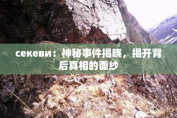 ceкеви：神秘事件揭晓，揭开背后真相的面纱