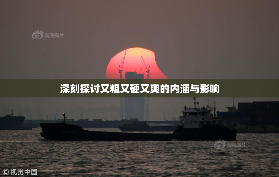 深刻探讨又粗又硬又爽的内涵与影响