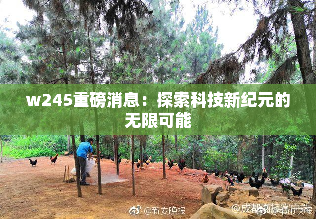 w245重磅消息：探索科技新纪元的无限可能