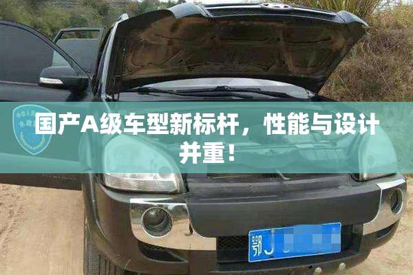 国产A级车型新标杆，性能与设计并重！