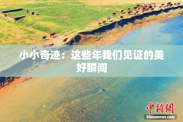 小小奇迹：这些年我们见证的美好瞬间